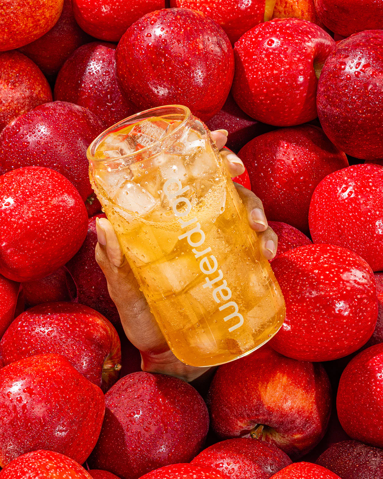 APFEL 3+1 - Image 4